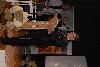 dsc_0033_t1.jpg